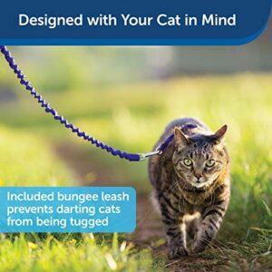 PetSafe Come With Me Kitty Harness and Bungee Leash, Harness for Cats, Large, Royal Blue/Navy