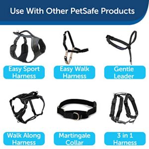PetSafe Nylon Dog Leash - Strong, Durable, Traditional Style Leash with Easy to Use Bolt Snap - 3/8 in. x 6 ft., Black
