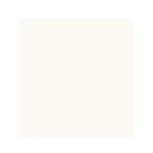 Strathmore Creative Cards with Envelopes, Fluorescent White Deckle, 5x6.875 inches, 10 Cards (80lb/216g) - Artist Paper for Adults and Students