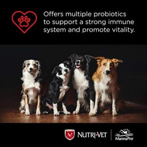 Nutri-Vet Probiotics Capsules for Dogs | Supports Digestive Health | For All Size Dogs | Promotes Healthy Immune System | Vet Formulated | 60 Count Capsules