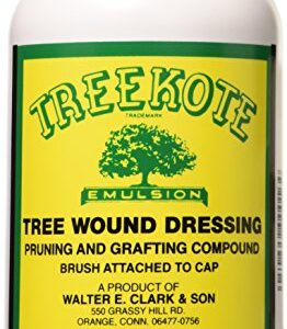 Clarks 00016 Treekote Brushtop Container, 16-Ounce