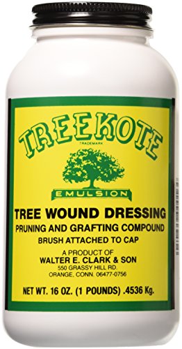 Clarks 00016 Treekote Brushtop Container, 16-Ounce