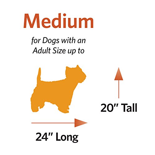 MidWest Homes for Pets Newly Enhanced Single & Double Door iCrate Dog Crate, Includes Leak-Proof Pan, Floor Protecting Feet , Divider Pane l & New Patented Features