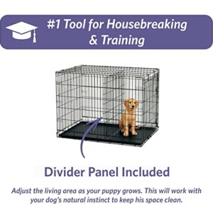 MidWest Homes for Pets Newly Enhanced Single & Double Door iCrate Dog Crate, Includes Leak-Proof Pan, Floor Protecting Feet , Divider Pane l & New Patented Features