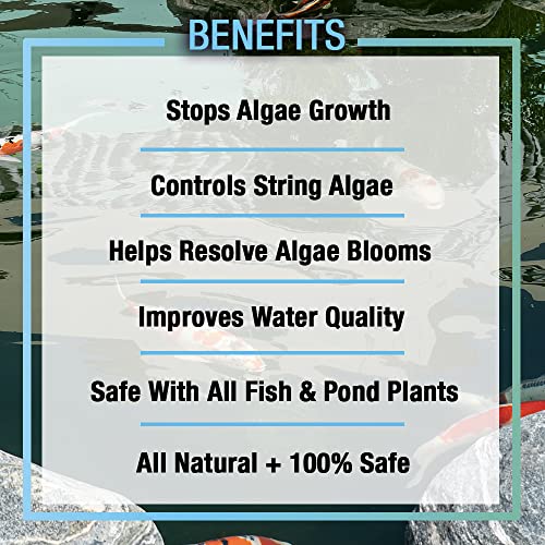 MICROBE-LIFT ALGA32 Algaway 5.4 Algae Control Treatment for Ponds and Water Gardens, Safe for Koi Fish, Goldfish, Plants, and Decorations, 32 Ounces
