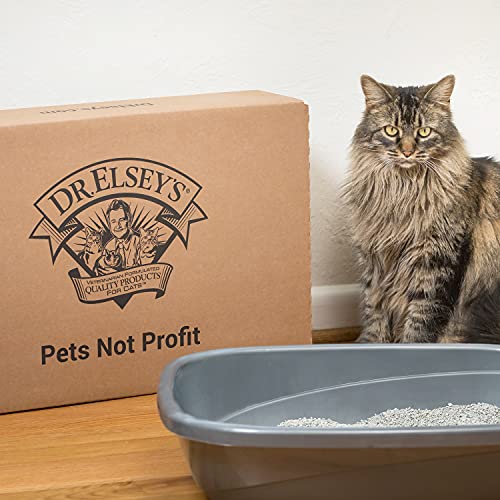 Dr. Elsey's Premium Clumping Cat Litter - Classic - 99.9% Dust-Free, Low Tracking, Hard Clumping, Superior Odor Control, Unscented & Natural Ingredients