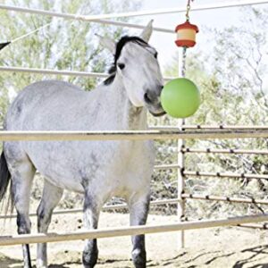 Horsemen's Pride Combo Horse Stall Toy: Apple Scented Jolly Ball and Apple Flavored Snack Holder (SS203)