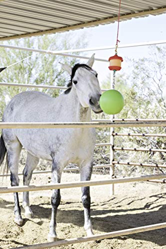 Horsemen's Pride Combo Horse Stall Toy: Apple Scented Jolly Ball and Apple Flavored Snack Holder (SS203)