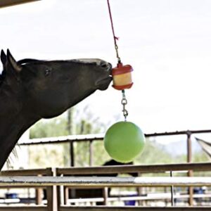 Horsemen's Pride Combo Horse Stall Toy: Apple Scented Jolly Ball and Apple Flavored Snack Holder (SS203)