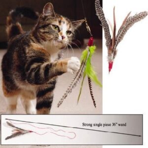 CoolCyberCats The Da Bird Super Pack (Includes 1 Da Bird Original 36" Single Pole Cat Toy, Feather Refill, Sparkly Attachment, Kitty Puff Attachment & Peacock Feather)