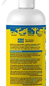 Kids 'N' Pets – Instant All-Purpose Stain & Odor Remover – 27.05 oz - (800 ml) – Pack of 2 - Proprietary Formula Permanently Eliminates Tough Stains & Odors – Even Urine Odors