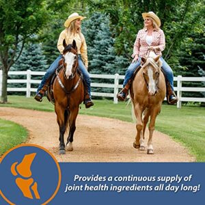 Farnam MaxFlex XR Extended Release Joint Supplement for Horses, Provides a continuous supply of joint health ingredients for 24 hours, 0.9375 pound, 30 Day Supply