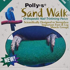 Polly's Sand Walk Orthopedic Bird Perch, Large