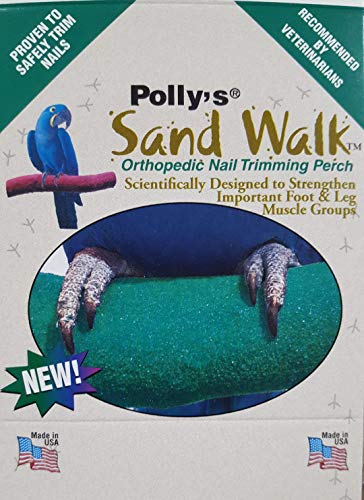 Polly's Sand Walk Orthopedic Bird Perch, Large