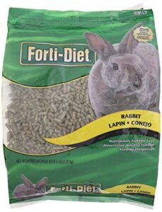 kaytee forti rabbit food, 5 lb