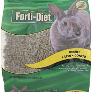 Kaytee Forti Rabbit Food, 5 Lb