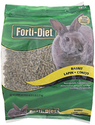 Kaytee Forti Rabbit Food, 5 Lb