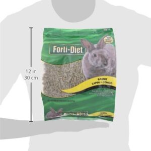 Kaytee Forti Rabbit Food, 5 Lb