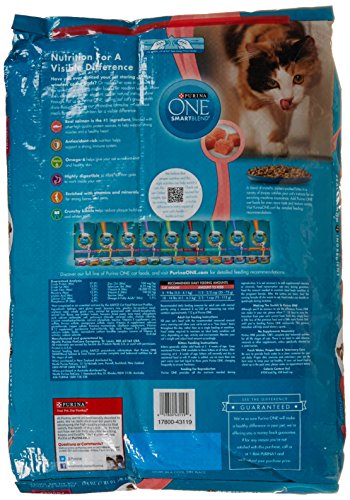 Purina O.N.E. Cat Food Adult Total Nutrition Salmon & Tuna, 16 lb