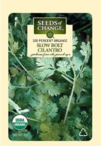 seeds of change 1728 cilantro, green
