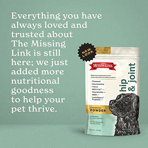 The Missing Link Hip & Joint Probiotics Superfood Supplement Powder for Dogs - Omegas 3&6, Fiber, Glucosamine, Chondroitin, MSM, HA - Cartilage & Bone Health, Joint Mobility & Flexibility - 1lb