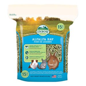 oxbow animal health alfalfa hay, for rabbits, guinea pigs, and small pets, grown in the usa, hand-selected and hand-sorted, 15 ounce