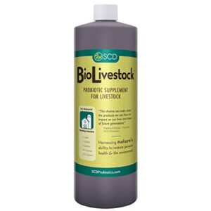 scd bio livestock - probiotic feed and water additive, organic liquid probiotic supplement for cows, pigs, horses, chickens, ducks, rabbits, by scd probiotics - 1 liter