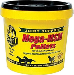 richdel megamsm pellets for horses, 5.6 pounds