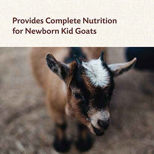 Manna Pro Colostrum Supplement for Newborn Goat Kids | Fortified with Vitamins and Minerals | Helps Promote Healthy Development | 8oz