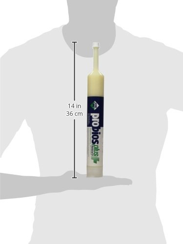 Probios Bovine One Oral Gel for Ruminants Plus Natural-E Tube, 300cc