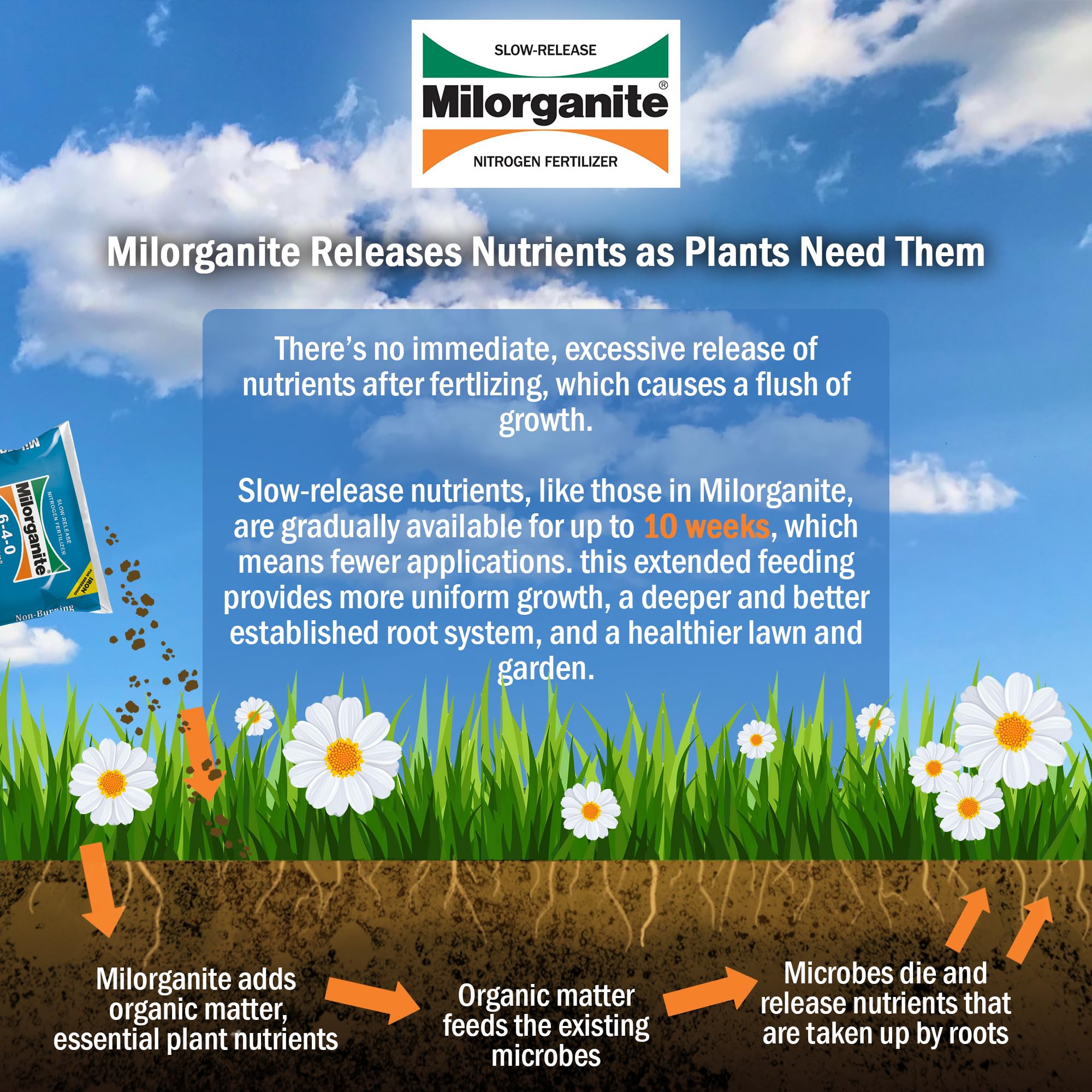 Milorganite All-Purpose Eco-Friendly Slow-Release Salt-Free Nitrogen 6-4-0 Fertilizer Plant Food, Covers 2,500 Sq. Ft, for Flowers, Gardens, and Lawns, 32 Pound Bag