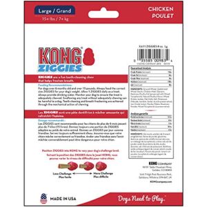 KONG - Ziggies - Teeth Cleaning Dog Treats for KONG Classic Rubber Toys - Chicken Flavor for Large Dogs (8 Ounce)