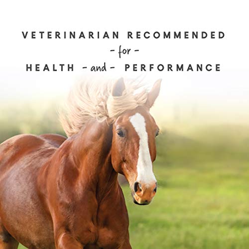 Manna Pro Sho-Glo Supplement for Horses | Complete Vitamin & Mineral Supplement for Healthy Skin & Coat | 25 Pounds