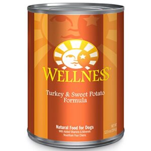 Wellness Complete Health Natural Wet Canned Dog Food Turkey & Sweet Potato, 12.5-Ounce Can (Pack of 12)