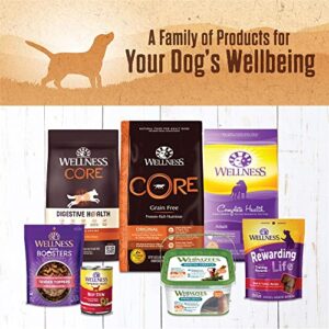 Wellness 95% Chicken Natural Wet Grain Free Canned Dog Food, 13.2-Ounce Can (Pack of 12)