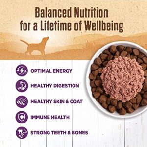 Wellness 95% Chicken Natural Wet Grain Free Canned Dog Food, 13.2-Ounce Can (Pack of 12)