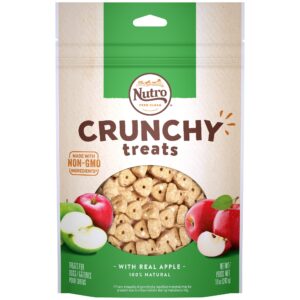 nutro natural choice crunchy treats with real apples dog treats
