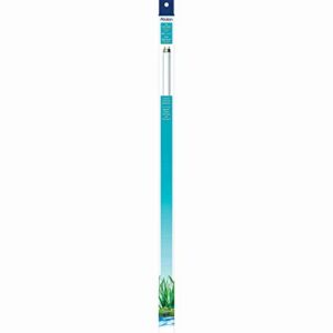 aqueon t8 fluorescent lamp replacements daylight 24 inches