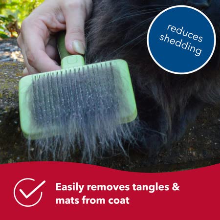 Coastal Pet Safari - Cat Self-Cleaning Slicker Brush - Cat Grooming Supplies