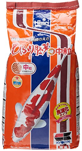 Hikari Usa Inc AHK06382 Wheat Germ 11lb, Medium