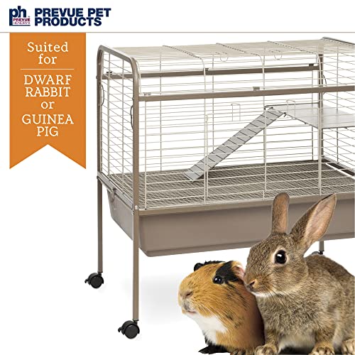 Prevue Pet Products Small Animal Cage with Stand Coco & White 425