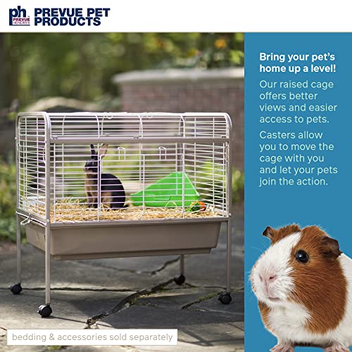 Prevue Pet Products Small Animal Cage with Stand Coco & White 425