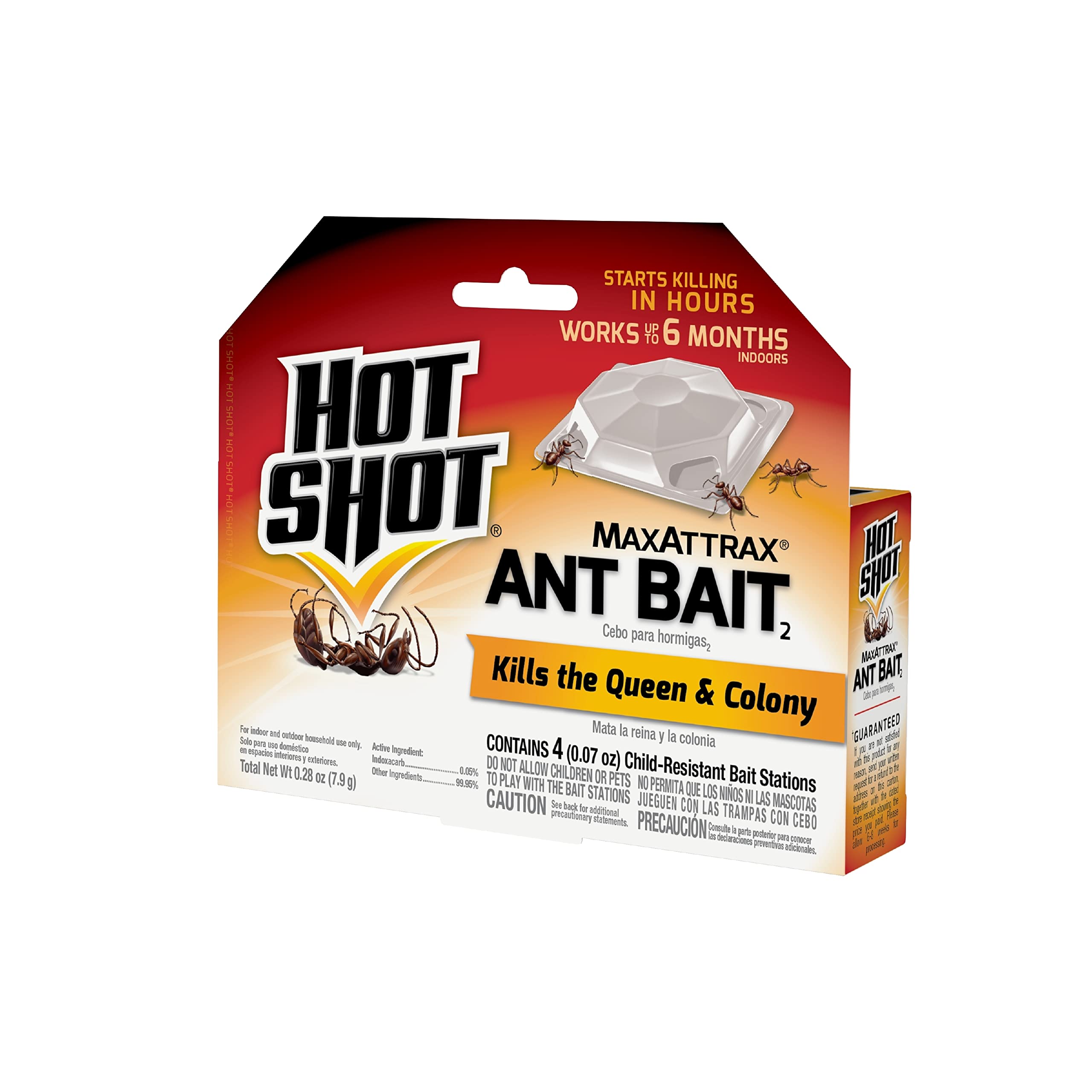 Hot Shot Ant Bait