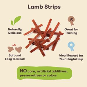 Pet 'n Shape Lamb Jerky Dog Treats - 3 Ounce