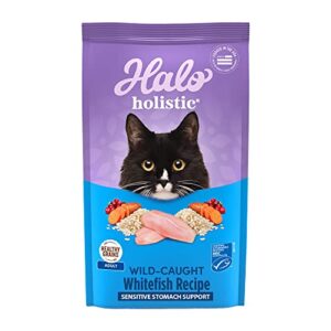 halo holistic cat food dry, wild-caught whitefish recipe for sensitive stomach support, complete digestive health, dry cat food bag, sensitive stomach formula, 6-lb bag