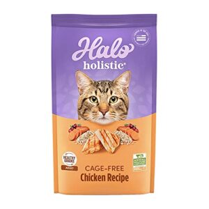halo holistic cat food dry, cage-free chicken recipe, complete digestive health, dry cat food bag, adult formula, 6-lb bag