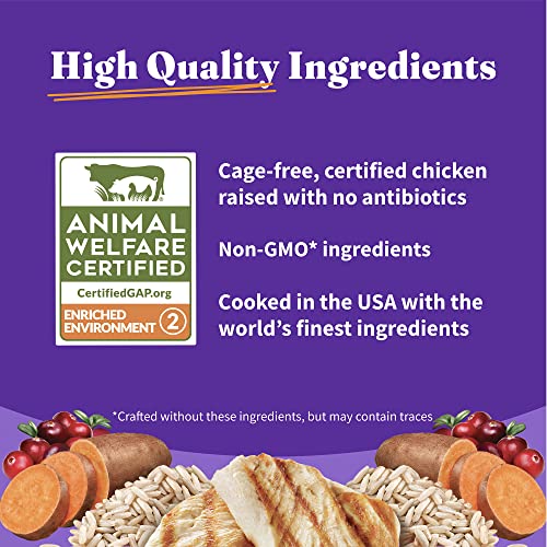 Halo Holistic Cat Food Dry, Cage-free Chicken Recipe, Complete Digestive Health, Dry Cat Food Bag, Adult Formula, 6-lb Bag