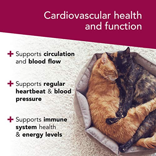 VETRISCIENCE - Cardio Strength, Cardiovascular and Circulatory Support Supplement for Dogs and Cats, 90 Capsules