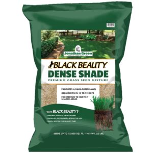 jonathan green (10610) black beauty dense shade grass seed - cool season lawn seed (25 lb)