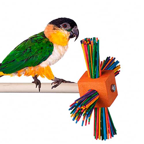 Super Bird Creations SB509 Spin-a-roo Bird Perch Toy, Small/Medium Bird Size, 8.5" x 6.5" x 6.5"